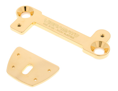 Vibramate V7 for Carved Tops G Bigsby tremolo sistema  