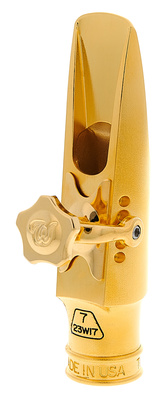 Theo Wanne Shiva IV Alto 7 Gold alto saksofono pūstukas (metaliniai)