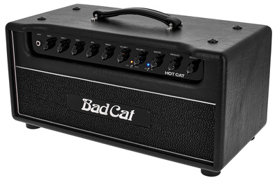 Bad Cat Hot Cat Head
