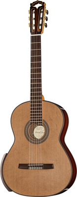 Pro gitaros