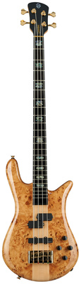 Spector Euro 4 CST Natural Gloss keturstygis bosas