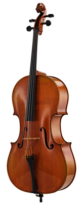 Eastman Albert Nebel VC601G+ 4/4 čells