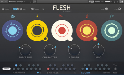 Native Instruments Flesh