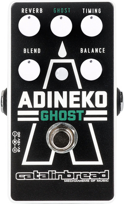 Adineko Ghost Delay