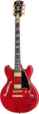 DAngelico Excel Mini DC Trans Cherry 25