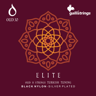 Galli Strings OUD30 Turkish Tuning BN