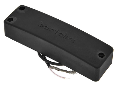 5-String RT Soapbar Bass Neck