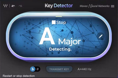 Waves Key Detector spraudnis