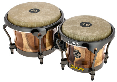 Meinl Artist Diego Gale Bongos