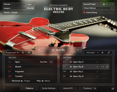 Native Instruments SG Electric Ruby Deluxe
