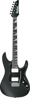 Ibanez BER10 Bernth Signature BK elektriskā ģitāra
