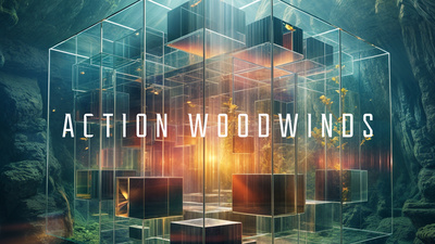 Native Instruments Action Woodwinds virtuālais pūšaminstrumentu komplekts