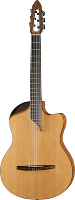 NOVA Guitars Innovator w/PU