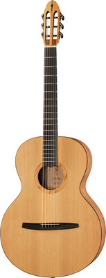 NOVA Guitars Keeper w/PU