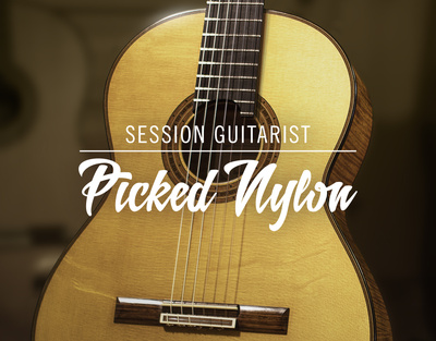 Native Instruments Session Guit. – Picked Nylon