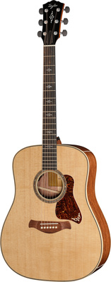 Taylor Gold Label 810e