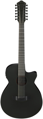 Ibanez AEG1221-BOT