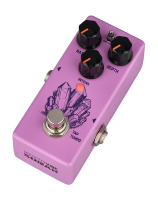 Soran Mini Digital efekt gitarowy
