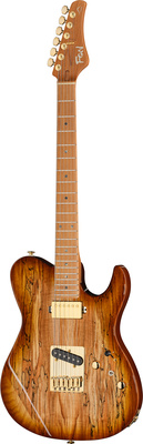 FGN Expert Iliad EW HCB