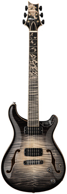 PRS Private Stock 30th Ann HB I #1