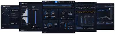 iZotope RX 12 Elements wtyczka audio Pinguin PG-AMM-Lite