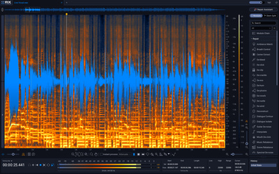 iZotope RX 12 Standard wtyczka audio Pinguin PG-AMM-Lite