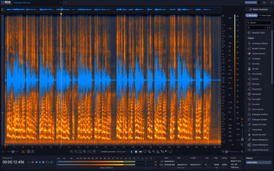 iZotope RX 12 Advanced oprogramowanie do restauracji audio