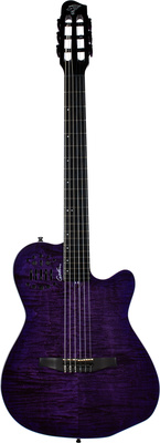 Godin ACS Nylon Steve Stevens 25th