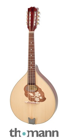 Thomann Europe Mandola M1088