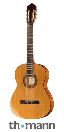 Höfner HZ25 B-Stock