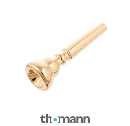 Schilke Trumpet 10A4a Gold