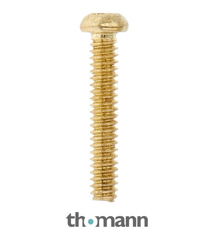 Göldo SR20G Screw f.Single Coils