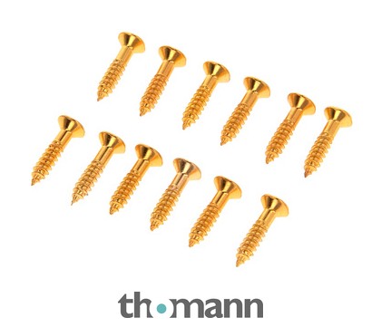 Harley Benton Parts Pickguard Screws Gold