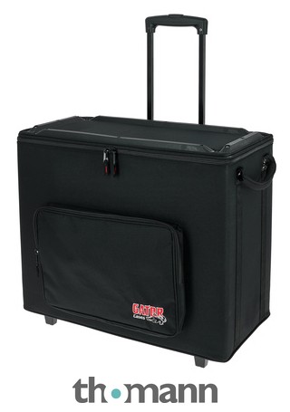 1x12 amp case