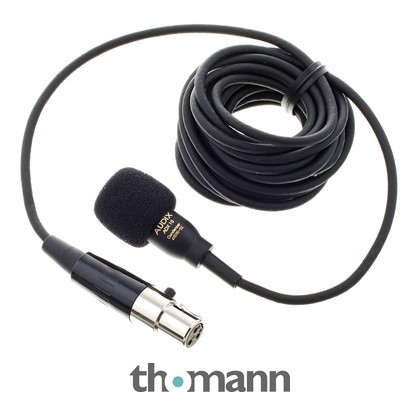 Audix ADX 10 FLP – United States