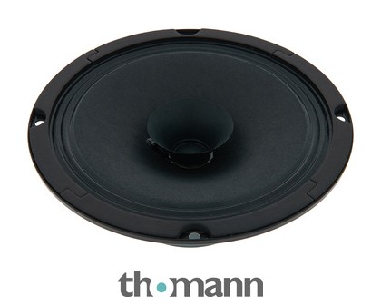 Visaton BG 17 Ohm – Norway