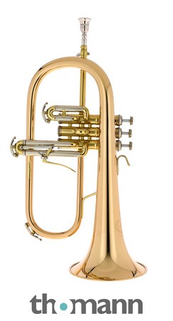 B&S 3145G-L Challenger I
