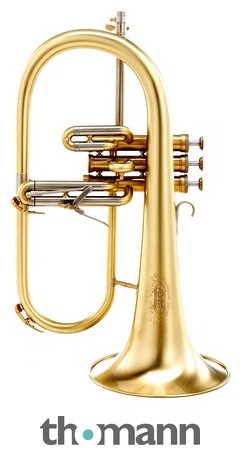 Adams F1 M Custom 050 170 SL