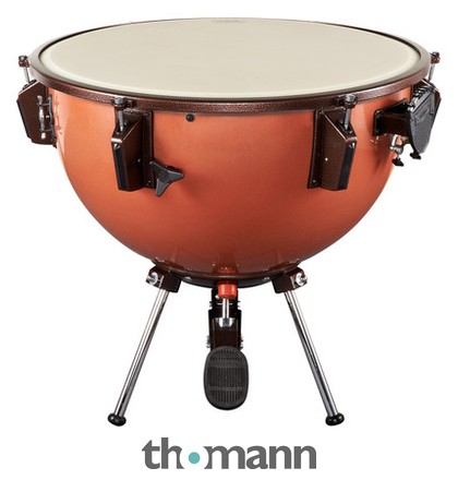 Adams 29
