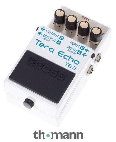 BOSS Tera Echo TE-2