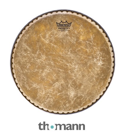 339299.jpg