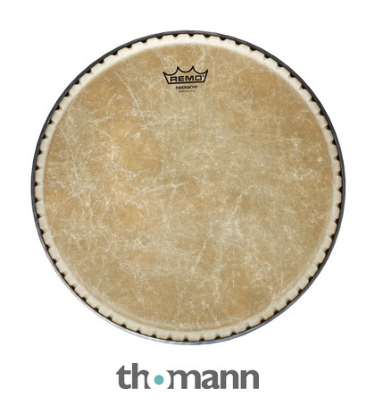 Remo 11