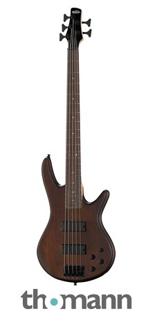 Ibanez gsr205b online
