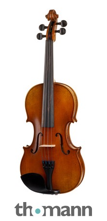 Karl Höfner Allegro 4/4 Violin Outfit – United States