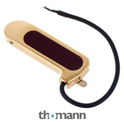 未使用】DeArmond Rhythm Chief 110 Gold