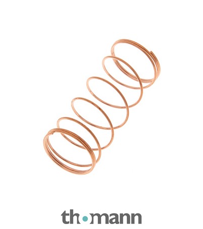 Thomann Valve Spring A376 15,8x35,5