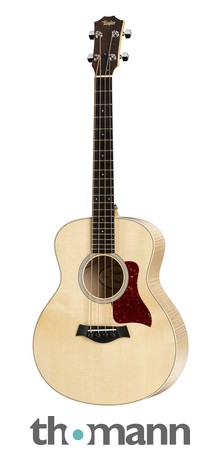 taylor gs mini thomann