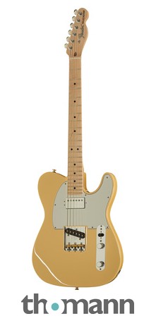 Jim root clearance telecaster thomann