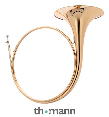 Dotzauer Parforce Horn in Bb 18220 – Thomann UK