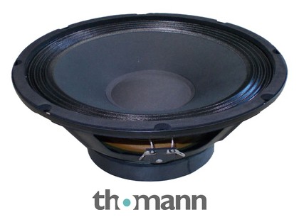 speaker 10 inch 100 watt